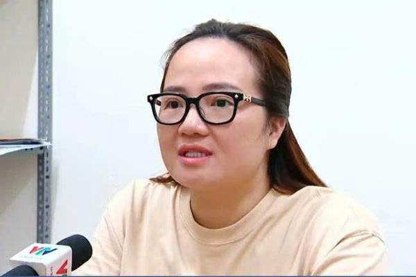 Kê biên 2 tài sản trị giá hơn 320 tỷ đồng của Hoàng Hường để khắc phục hậu quả