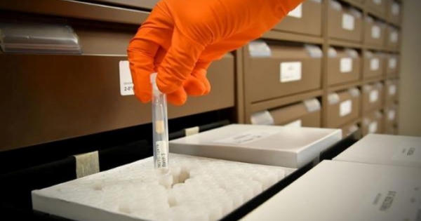 Lật lại vụ thử thuốc kháng sinh Penicillin tại Mỹ gần 100 năm trước