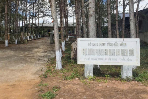 Khởi tố Phó Giám đốc Ban quản lý rừng phòng hộ vành đai biên giới