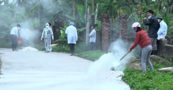 Triển khai đồng bộ các giải pháp cấp bách khống chế bệnh dịch tả lợn châu Phi Triển khai đồng bộ các giải pháp cấp bách khống chế bệnh dịch tả lợn châu Phi