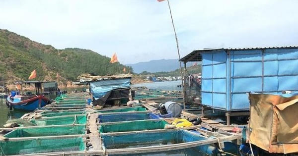 Hãm hiếp, hành hung 2 mẹ con trên bè cá giữa biển: Hành vi có tính chất côn đồ