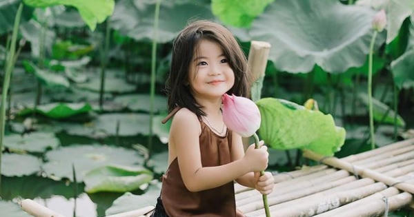Bé gái xinh như thiên thần bên hoa sen đốn tim cộng đồng mạng