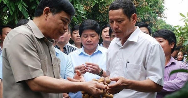 Lãnh đạo tỉnh phải đi 'bán' nhãn cho nông dân