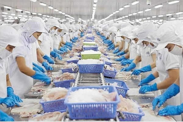 Mỹ công bố kết quả chính thức mức thuế CBPG cá tra phile đông lạnh Việt Nam