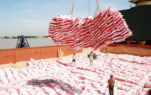 Audio Tài chính Plus: Việt Nam trúng thầu 141.000 tấn gạo xuất khẩu sang Indonesia