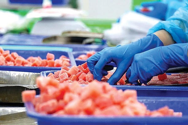 Xuất khẩu cá ngừ của Việt Nam sang các thị trường chính đều giảm