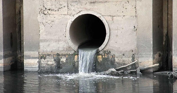 Công ty cổ phần Sữa Đà Lạt bị phạt hơn 300 triệu đồng vì xả thải ra môi trường