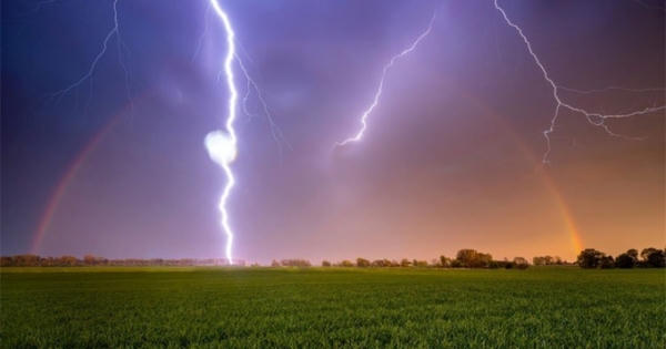 Một phụ nữ bị sét đánh tử vong khi đi chăn bò