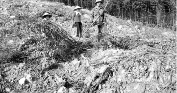 57 ngàn ha đất lấn chiếm, tranh chấp không kiểm soát được