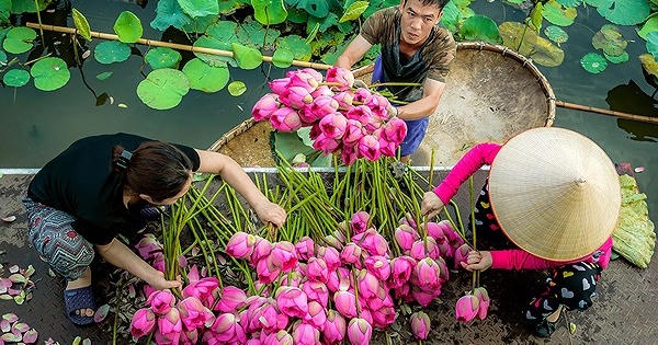 Ngắm "Vẻ đẹp Hà Nội" qua các bức ảnh độc đáo