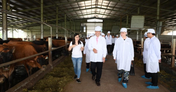Sữa Cô gái Hà Lan vinh dự đón tiếp Thứ trưởng Hà Lan đến thăm dự án tại Hà Nam