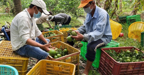 Hậu Giang: Người dân ở khu vực “vùng xanh” được tự do mua bán