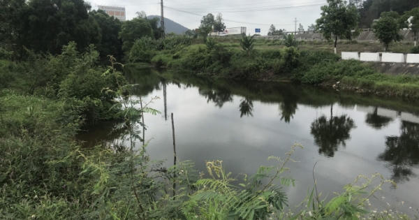 Kênh nhà Lê bị “nhuộm” đen, bốc mùi hôi thối bất thường chưa rõ nguyên nhân