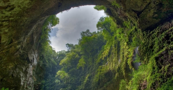 Liên hoan phim New York vinh danh Sơn Đoòng