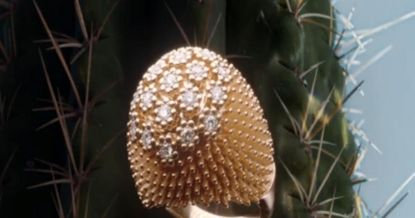 Bản tin Thời trang Plus số 22: Độc đáo với bộ trang sức xương rồng