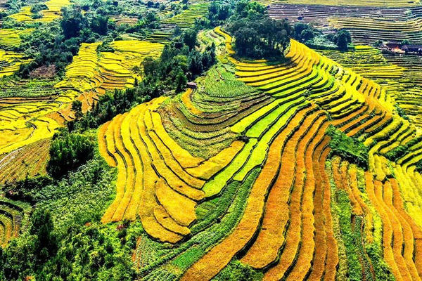 Quảng Ninh: Sắp khai hội Mùa vàng 2025 tại Lục Hồn, mở màn chuỗi hoạt động du lịch mùa Thu - Đông hấp dẫn