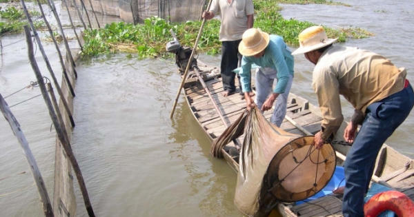 Đổi mới & Thích ứng: Làm kinh tế nông nghiệp, vừa khỏe vừa bền Đổi mới & Thích ứng: Làm kinh tế nông nghiệp, vừa khỏe vừa bền