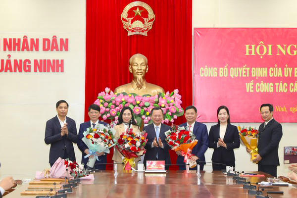 Quảng Ninh điều động, bổ nhiệm nhiều vị trí cán bộ chủ chốt