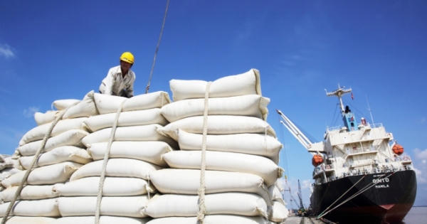 Xuất khẩu gạo "tắc nghẽn" do Tân Cảng Hiệp Phước tạm ngừng đóng rút