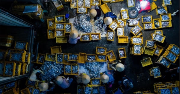 Nét đẹp Vũng Tàu Nét đẹp Vũng Tàu