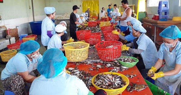 Khởi nghiệp từ 44 triệu đồng Khởi nghiệp từ 44 triệu đồng