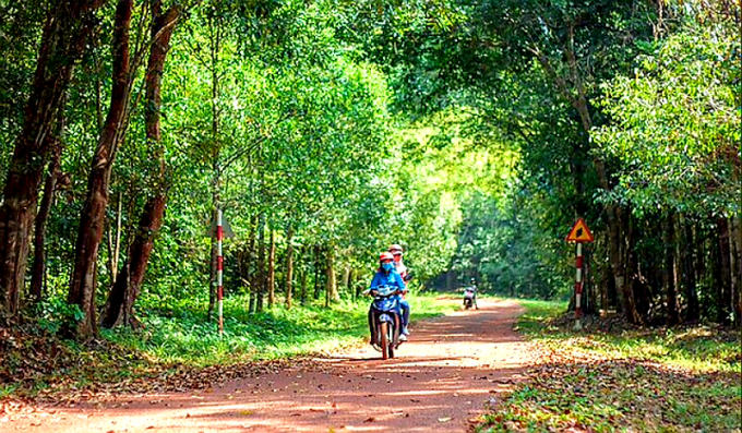 Đồng Nai đầu tư 500 tỷ cho du lịch rừng tại Biên Hòa