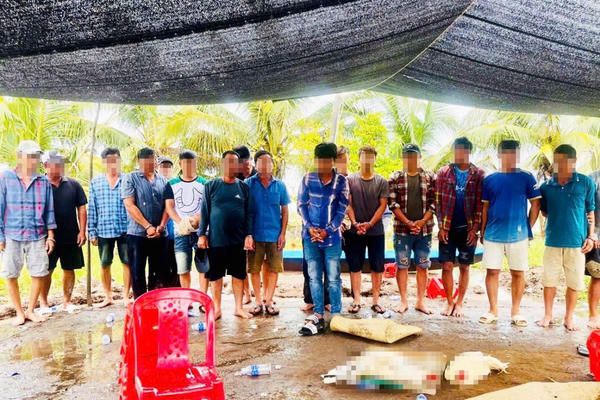 Bắt quả tang 18 đối tượng đánh bạc dưới hình thức đá gà ăn tiền