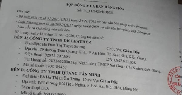 Vì sao chưa xem xét, giải quyết việc Công ty TNHH DK Leather có dấu hiệu lừa đảo chiếm đoạt tài sản Vì sao chưa xem xét, giải quyết việc Công ty TNHH DK Leather có dấu hiệu lừa đảo chiếm đoạt tài sản