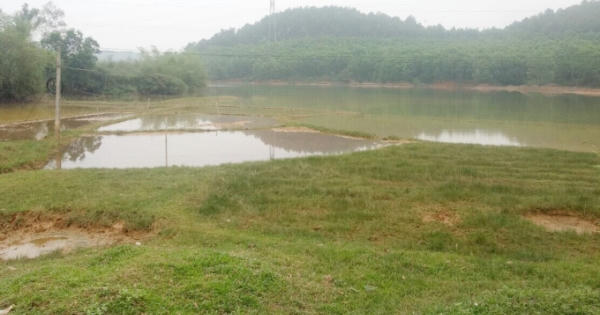 Nghệ An: Tiến độ sản xuất lúa hè thu chậm