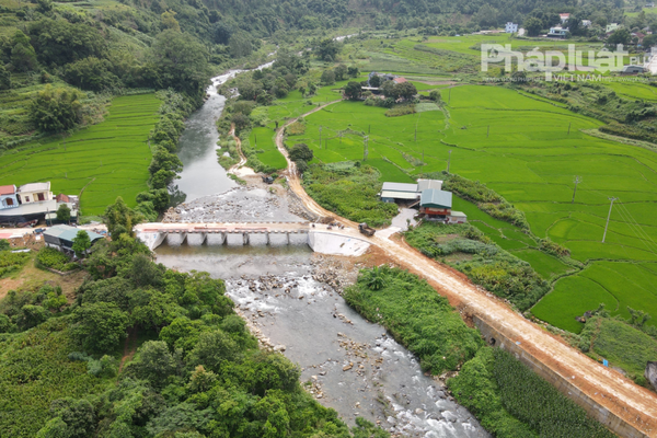 “Đề nghị cho phép chuyển đổi đất trồng lúa sang làm trang trại”