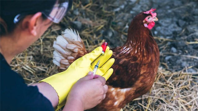 Bộ Y tế mở rộng danh mục bệnh phải giám sát chặt