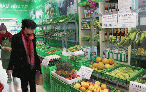 Nhập nhèm nguồn gốc thực phẩm hữu cơ Organic