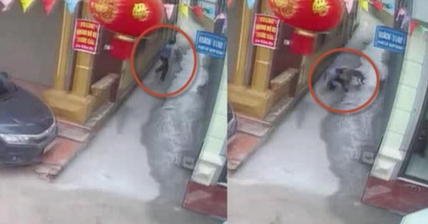 Hoảng hồn với Clip bác sĩ bị chó cắn rách mắt trên đường đi làm về ở Phú Thọ