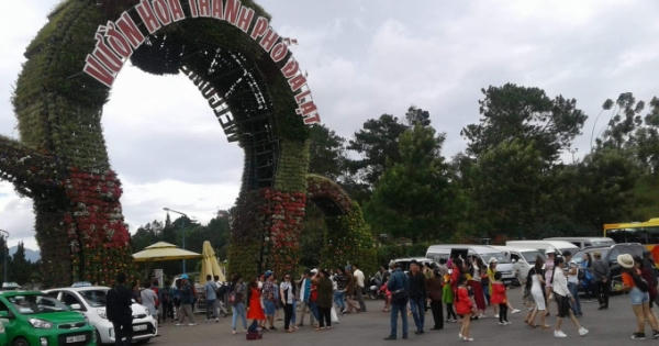 Kỷ luật Phó Giám đốc Sở TN-MT tỉnh Lâm Đồng do liên quan sai phạm đất đai