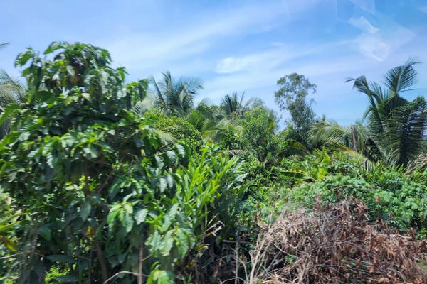 Vì sao chưa thể giải phóng mặt bằng cho dự án Vành đai 3 TP Hồ Chí Minh?