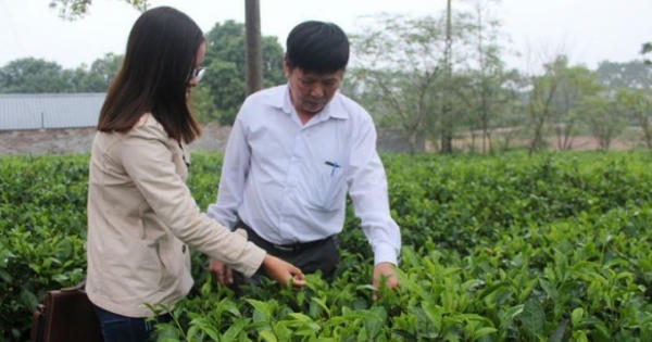 Tin kinh tế 6AM: Hành trình “hồi sinh” thương hiệu chè sạch nức tiếng Thủ đô
