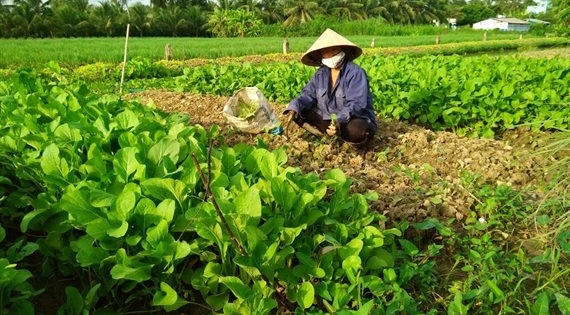 Tiền Giang: Kết hợp các chính sách an sinh xã hội trong thực hiện mục tiêu giảm nghèo bền vững