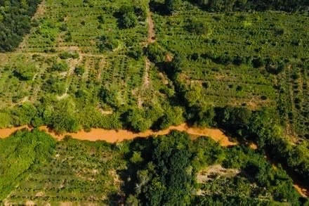 Bộ GTVT thống nhất với đề xuất khôi phục cầu Mã Đà Bộ GTVT thống nhất với đề xuất khôi phục cầu Mã Đà