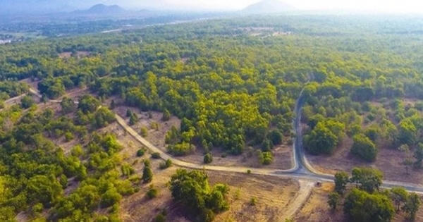 Xử phạt công ty Rạng Đông gần 600 triệu đồng vì tự ý chuyển mục đích sử dụng đất Xử phạt công ty Rạng Đông gần 600 triệu đồng vì tự ý chuyển mục đích sử dụng đất