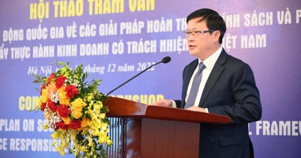 Giảm thiểu rủi ro pháp lý trong thực hành kinh doanh có trách nhiệm tại Việt Nam