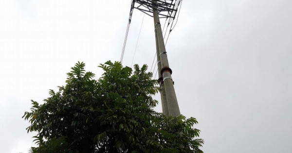 KCN Thanh Bình, Bắc Kạn: Hàng trăm cây xanh mọc dưới hành lang dây điện cao thế