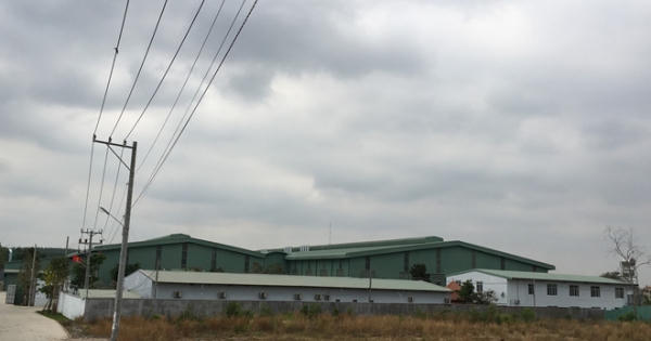 Xây dựng trái phép 'băm nát' Phước Tân