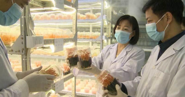 Những nghị quyết kiên định cho cải cách