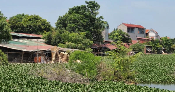 Vĩnh Phúc: Đất công ích bị “phù phép” thành xưởng gỗ, nhà ở như thế nào?