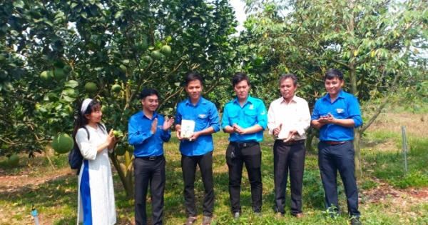 Hào hứng xuất quân trong Tháng Thanh niên 2021, tuổi trẻ Bình Phước làm nhiều việc tử tế