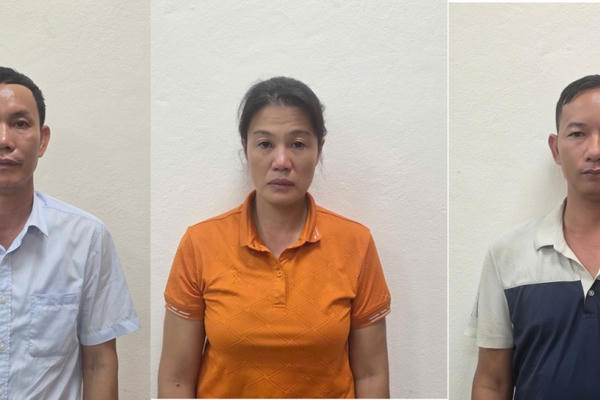 Khởi tố 3 đối tượng vi phạm quy định về khai thác, bảo vệ rừng và lâm sản