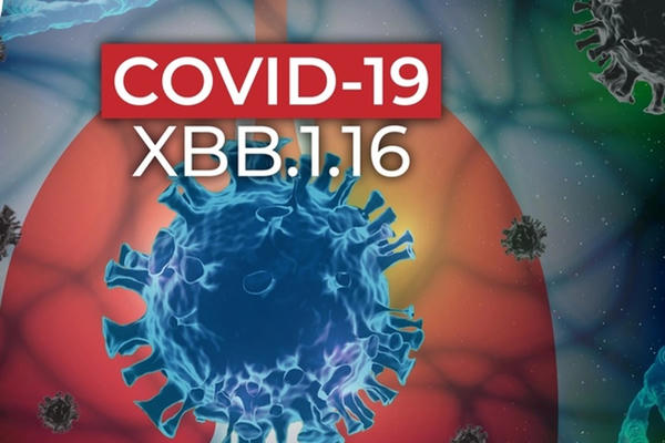 Bộ Y tế đề nghị tăng cường biện pháp phòng, chống COVID-19