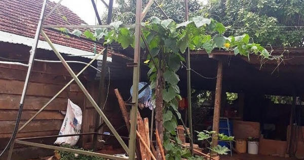 Một bé trai bị điện giật tử vong khi chơi ở nhà hàng xóm Một bé trai bị điện giật tử vong khi chơi ở nhà hàng xóm