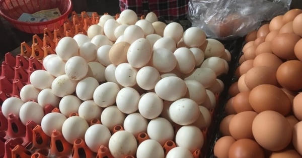 Bí ẩn nguồn gốc trứng gà ta giá rẻ bán đầy chợ Bí ẩn nguồn gốc trứng gà ta giá rẻ bán đầy chợ