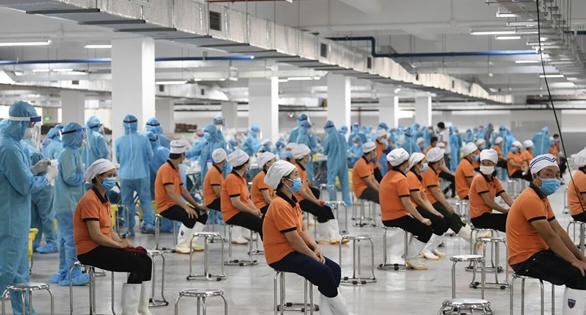 Đề xuất trả lương ngừng việc cho người lao động